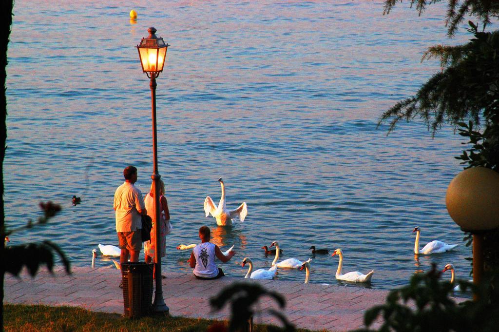 Camping Bella Italia Πεσκιέρα ντελ Γκάρντα Εξωτερικό φωτογραφία